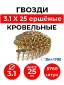 Гвоздь кровельный DPN 3.1x25 NK RING (CRN 31/25)